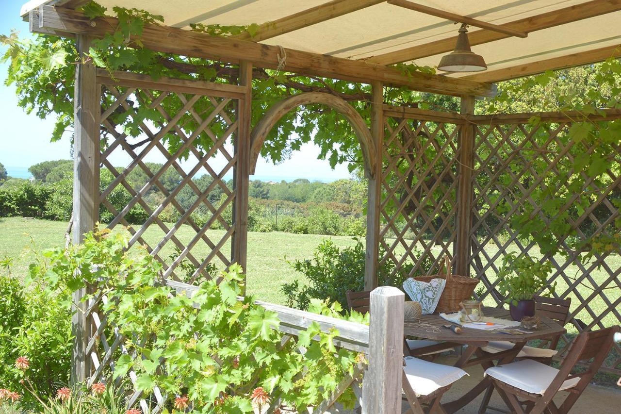 Agriturismo Le Cerbonche Rosignano Marittimo Dış mekan fotoğraf