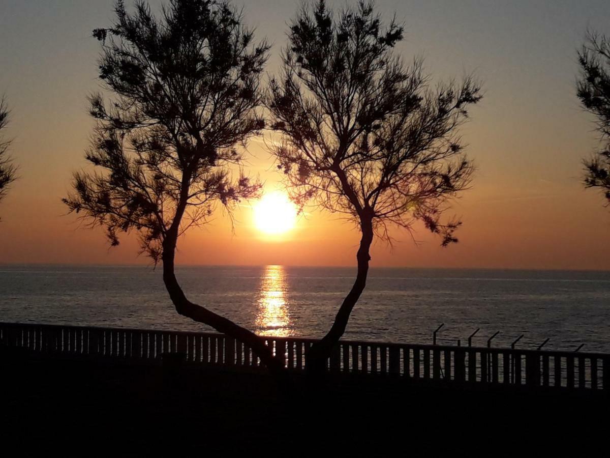 Agriturismo Le Cerbonche Rosignano Marittimo Dış mekan fotoğraf